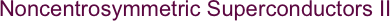 Noncentrosymmetric Superconductors II